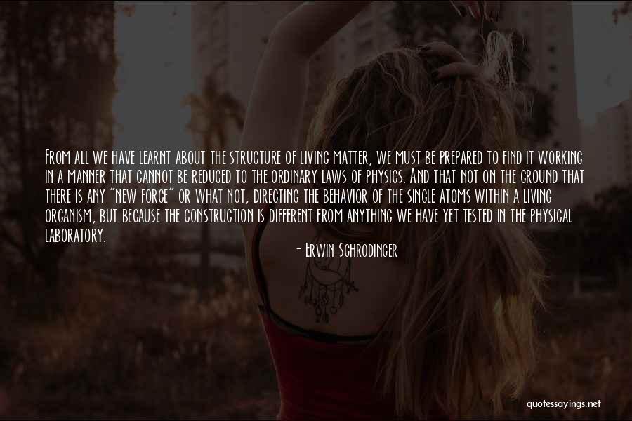 Living The Single Life Quotes By Erwin Schrodinger Living The Single Life Quotes By Erwin Schrodinger
