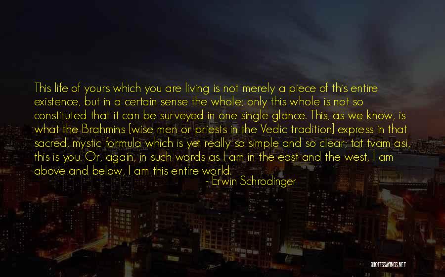 Living The Single Life Quotes By Erwin Schrodinger Living The Single Life Quotes By Erwin Schrodinger