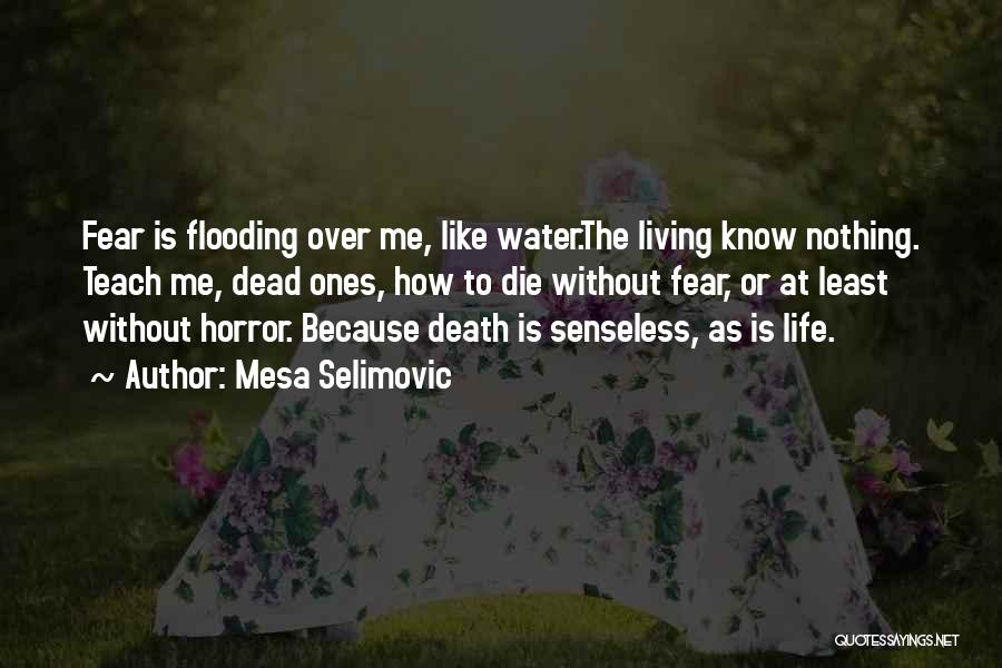 Living To Die Quotes By Mesa Selimovic