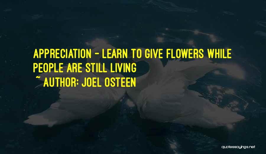 Living To Learn Quotes By Joel Osteen