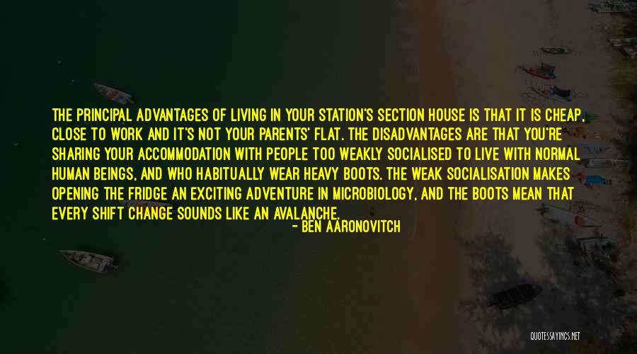 Living To Work Quotes By Ben Aaronovitch Living To Work Quotes By Ben Aaronovitch