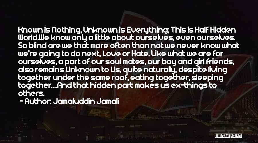 Living Together Love Quotes By Jamaluddin Jamali