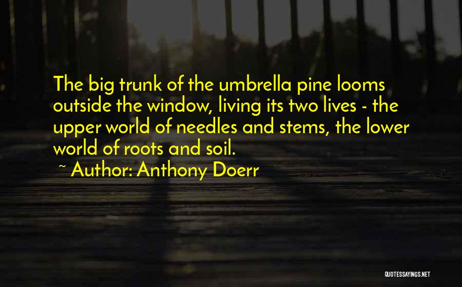 Living Two Lives Quotes By Anthony Doerr