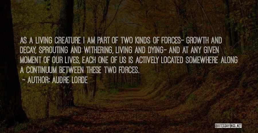 Living Two Lives Quotes By Audre Lorde