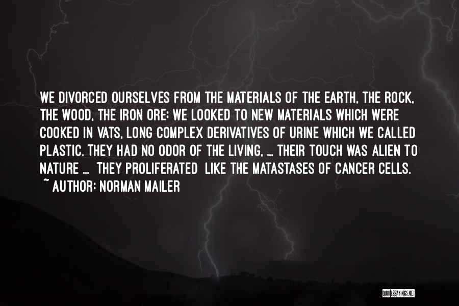 Living Under A Rock Quotes By Norman Mailer