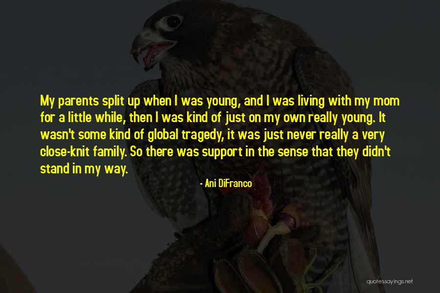 Living While Young Quotes By Ani DiFranco Living While Young Quotes By Ani DiFranco