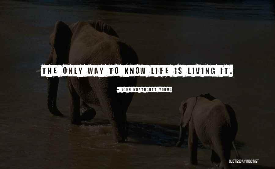 Living While Young Quotes By John Northcutt Young