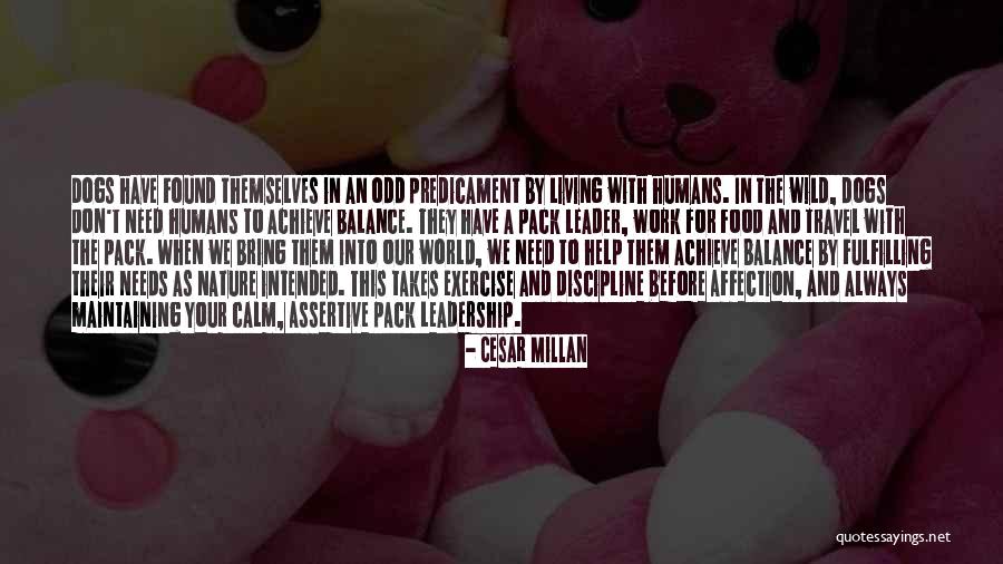 Living Wild Quotes By Cesar Millan Living Wild Quotes By Cesar Millan