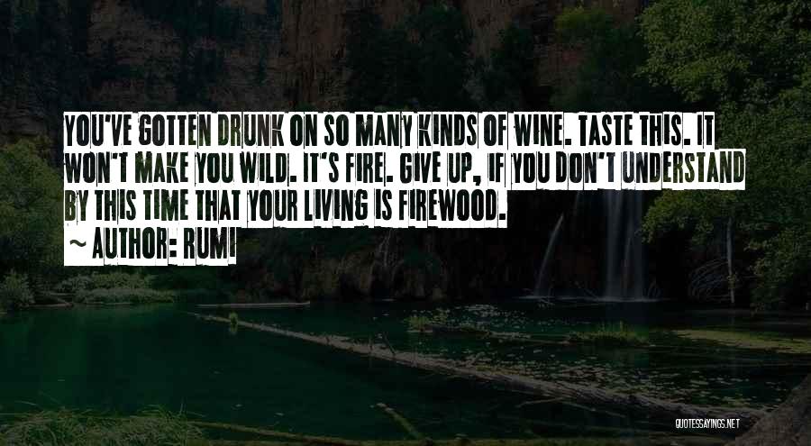 Living With A Drunk Quotes By Rumi