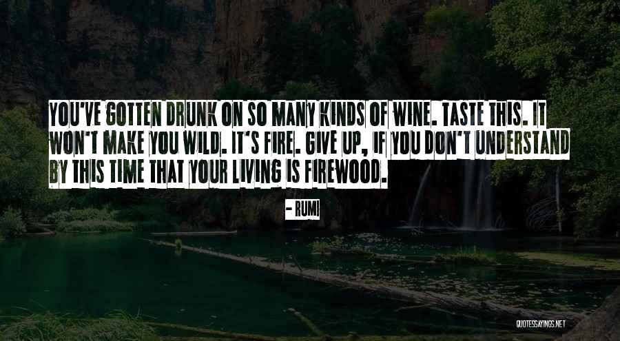 Living With A Drunk Quotes By Rumi