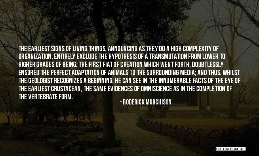 Living With Complexity Quotes By Roderick Murchison