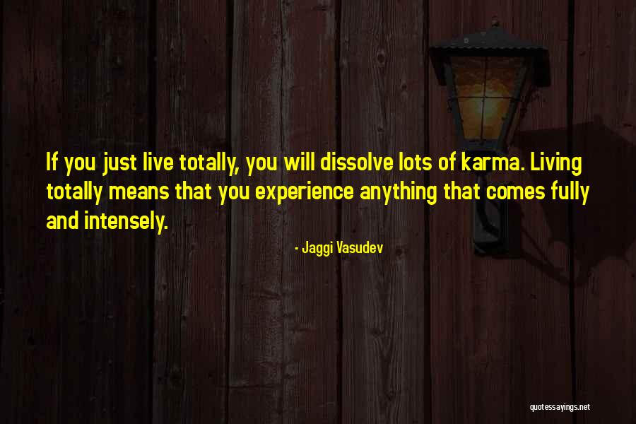 Living Within Your Means Quotes By Jaggi Vasudev Living Within Your Means Quotes By Jaggi Vasudev