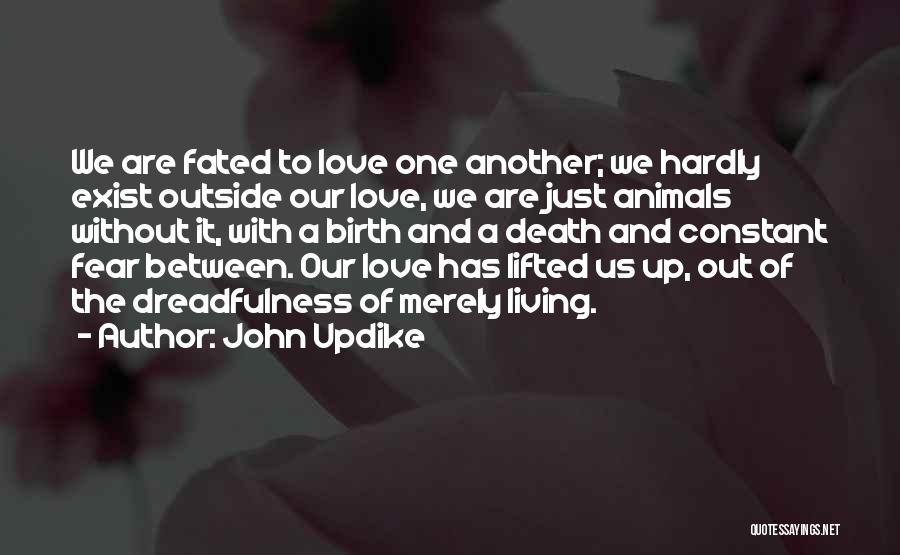 Living Without Fear Quotes By John Updike