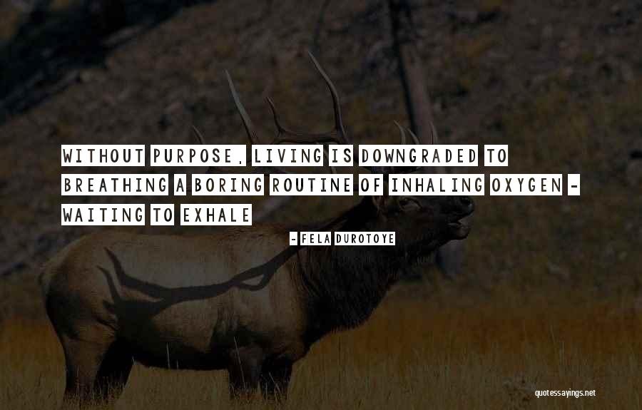 Living Without Purpose Quotes By Fela Durotoye Living Without Purpose Quotes By Fela Durotoye