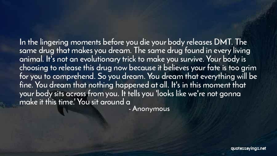 Living Your Dream Life Quotes By Anonymous