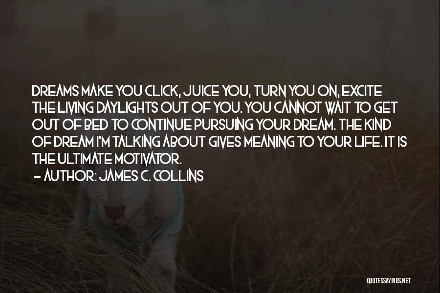 Living Your Dream Life Quotes By James C. Collins