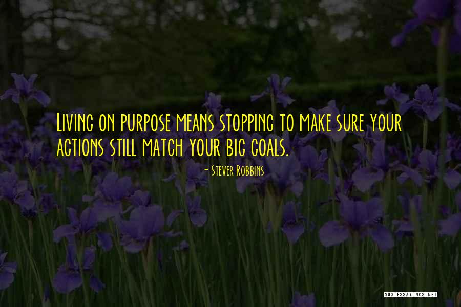 Living Your Purpose Quotes By Stever Robbins