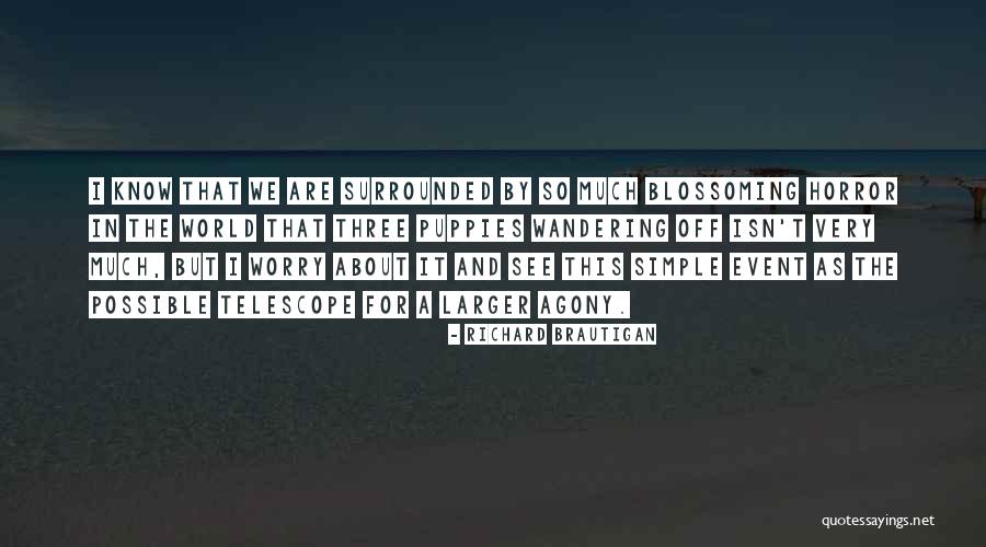 Livrez Fericire Quotes By Richard Brautigan Livrez Fericire Quotes By Richard Brautigan