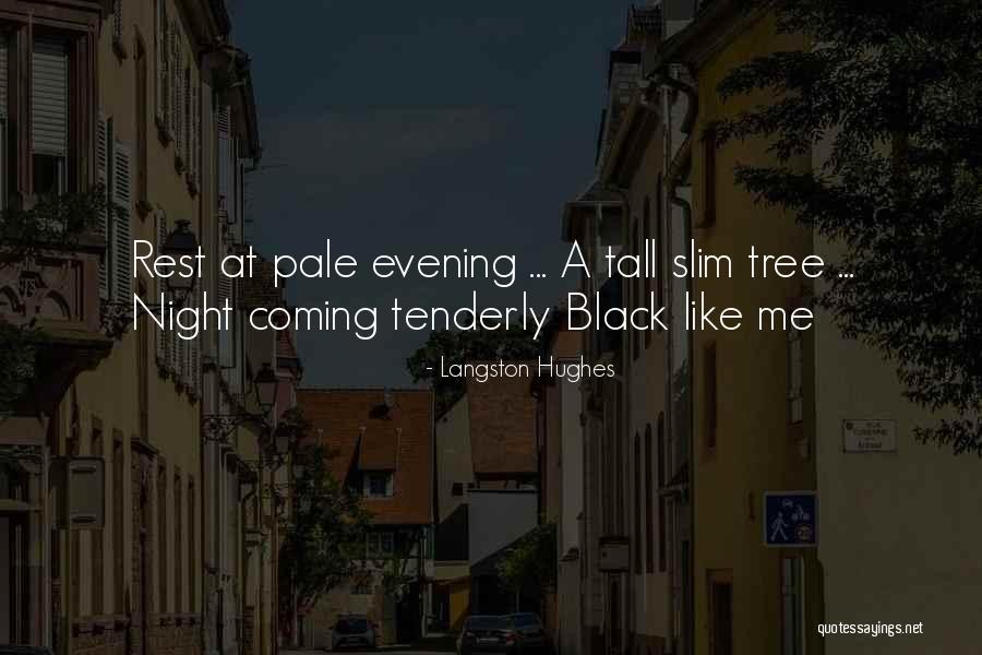 Lixandru Ionel Quotes By Langston Hughes Lixandru Ionel Quotes By Langston Hughes