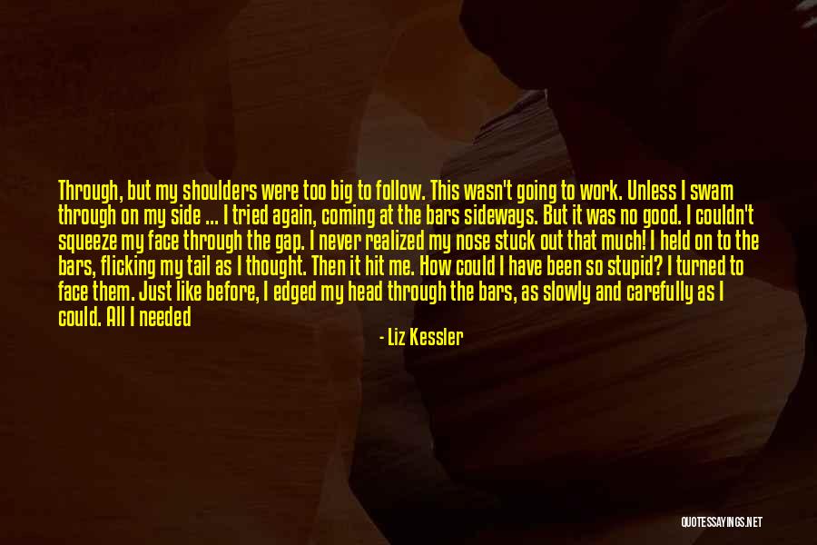 Liz Kessler Quotes 1252054