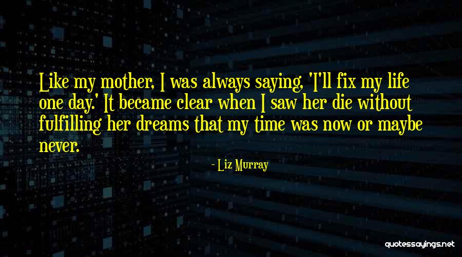 Liz Murray Quotes 2046170