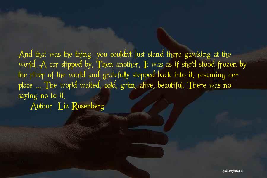 Liz Rosenberg Quotes 1517793 Liz Rosenberg Quotes 1517793