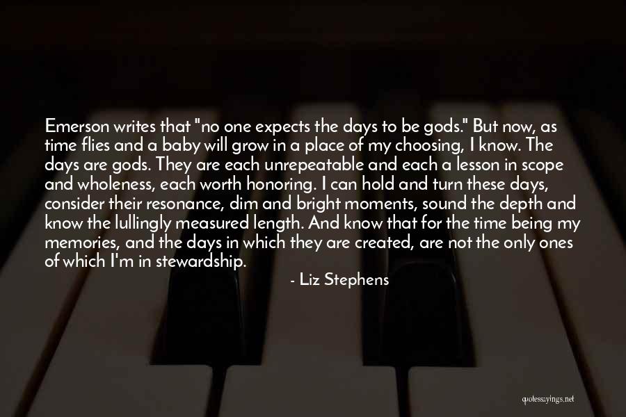 Liz Stephens Quotes 1288475