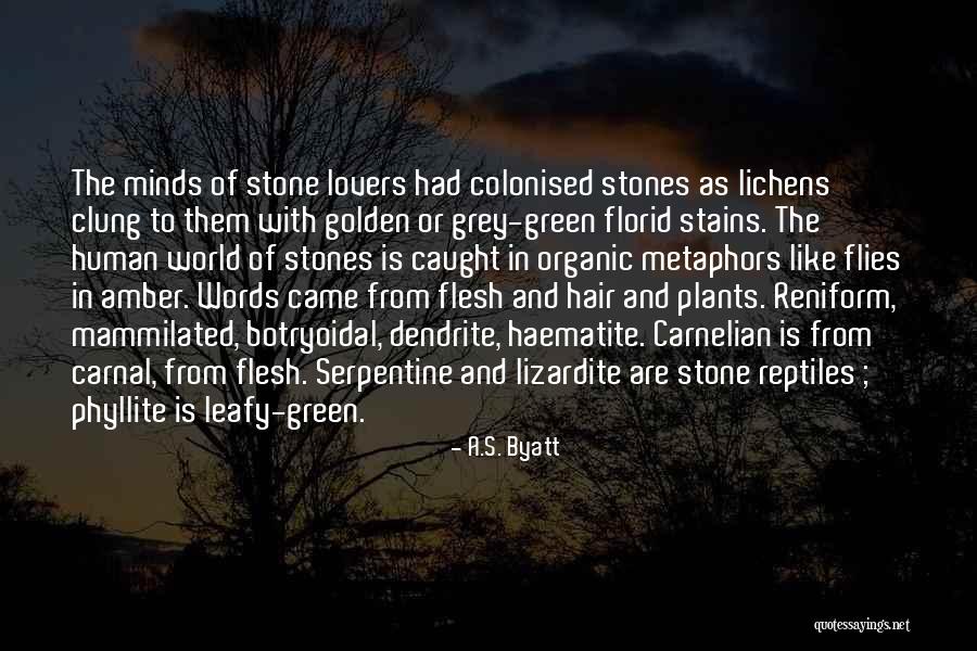 Lizardite Serpentine Quotes By A.S. Byatt Lizardite Serpentine Quotes By A.S. Byatt