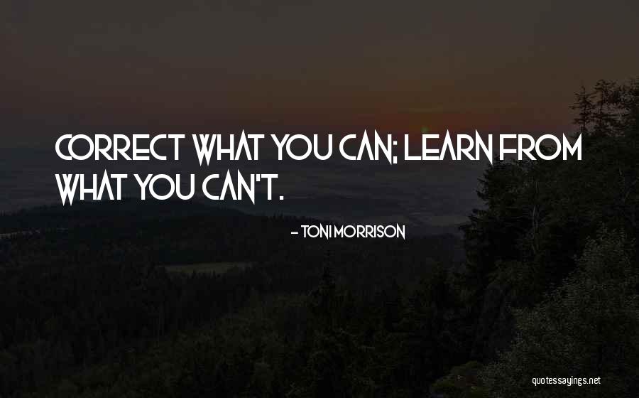 Lizardite Structure Quotes By Toni Morrison Lizardite Structure Quotes By Toni Morrison