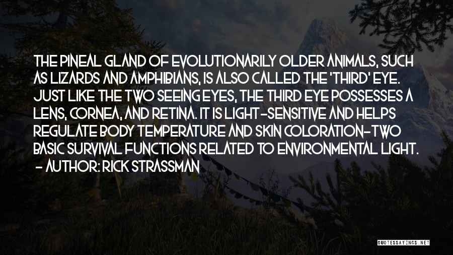 Lizards Quotes By Rick Strassman