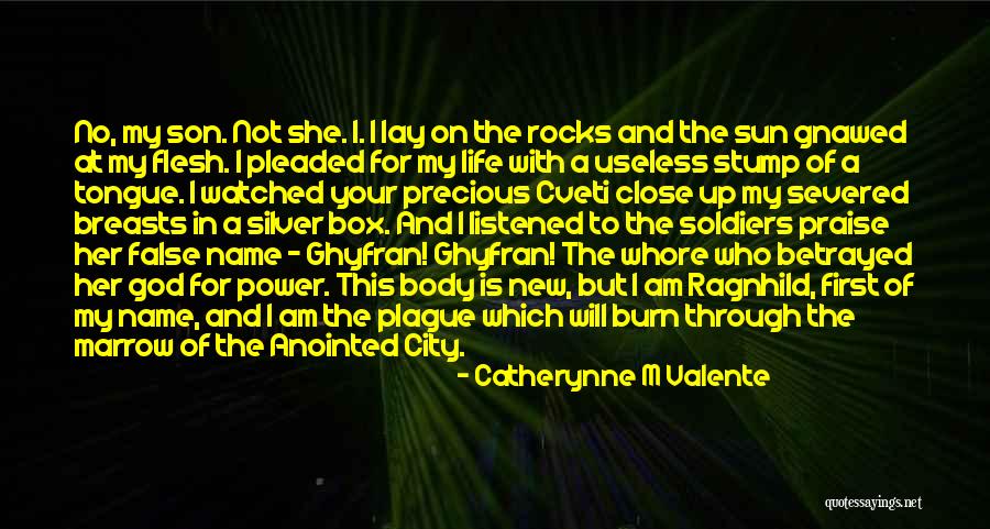 Lizer Landscaping Quotes By Catherynne M Valente Lizer Landscaping Quotes By Catherynne M Valente