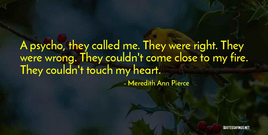 Lizeta Pescado Quotes By Meredith Ann Pierce Lizeta Pescado Quotes By Meredith Ann Pierce