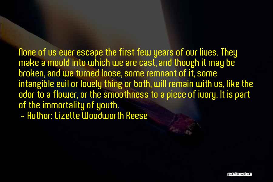Lizette Woodworth Reese Quotes 955813