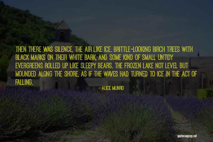 Lizozomet Quotes By Alice Munro Lizozomet Quotes By Alice Munro