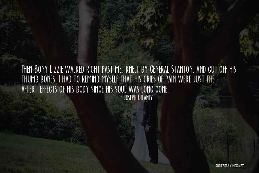 Lizzie Stanton Quotes By Joseph Delaney