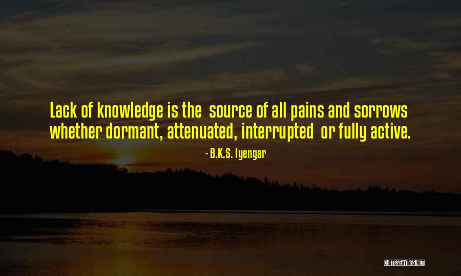 Ljubavi Ne Quotes By B.K.S. Iyengar Ljubavi Ne Quotes By B.K.S. Iyengar
