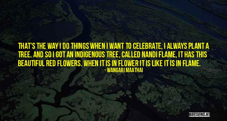 Ljubavne Quotes By Wangari Maathai Ljubavne Quotes By Wangari Maathai