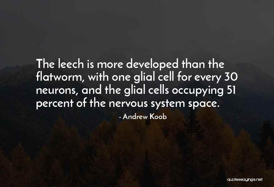 Ljubavno Pismo Quotes By Andrew Koob Ljubavno Pismo Quotes By Andrew Koob