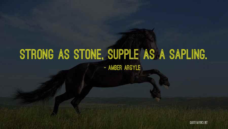 Ljubvne Quotes By Amber Argyle