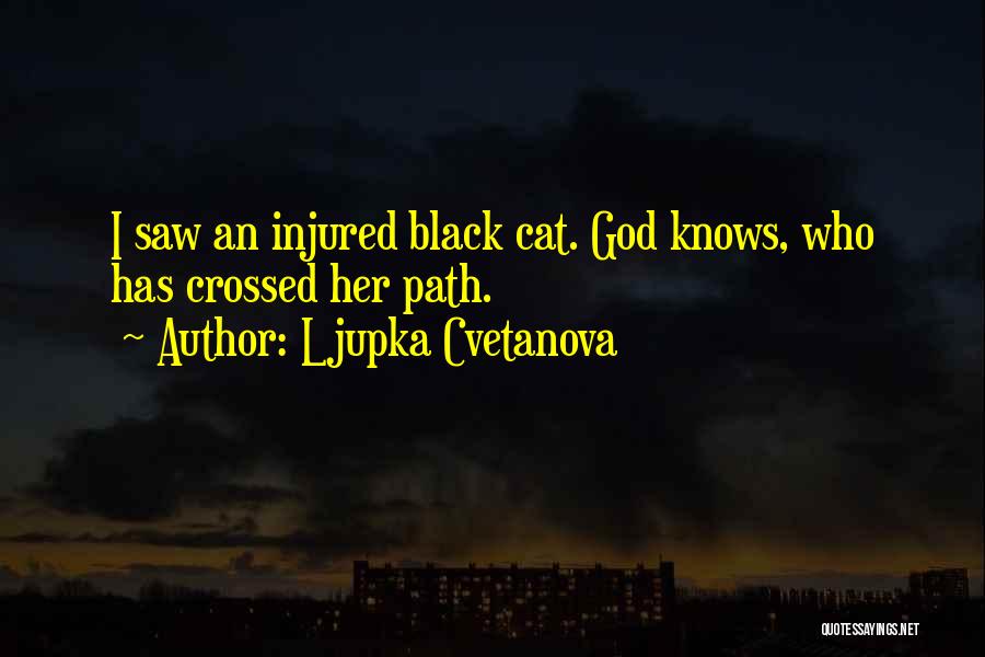 Ljupka Cvetanova Quotes 1532683