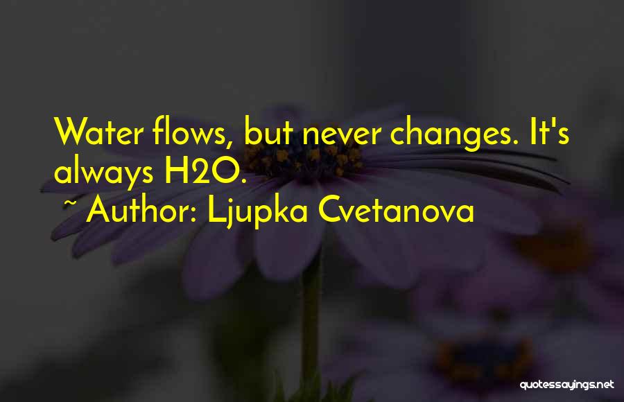 Ljupka Cvetanova Quotes 1621399