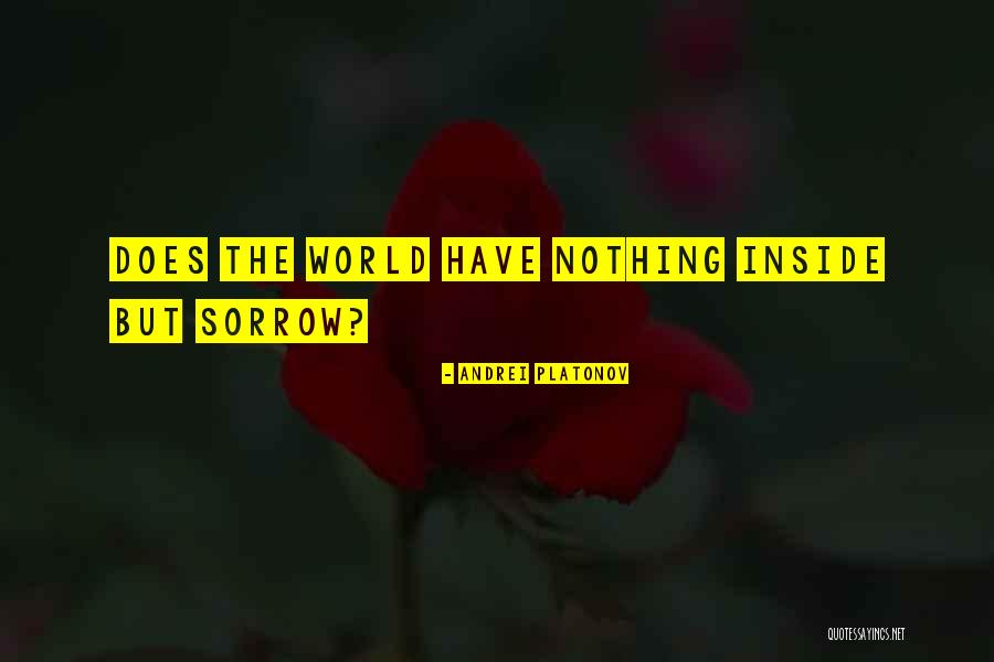 Ljutnja Ili Quotes By Andrei Platonov Ljutnja Ili Quotes By Andrei Platonov