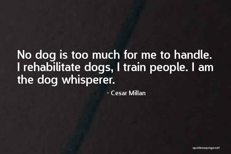 Lkelere G Re Nobel Alma Oranlari Quotes By Cesar Millan Lkelere G Re Nobel Alma Oranlari Quotes By Cesar Millan