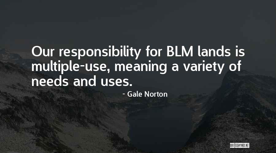 Ll H Bor Quotes By Gale Norton Ll H Bor Quotes By Gale Norton