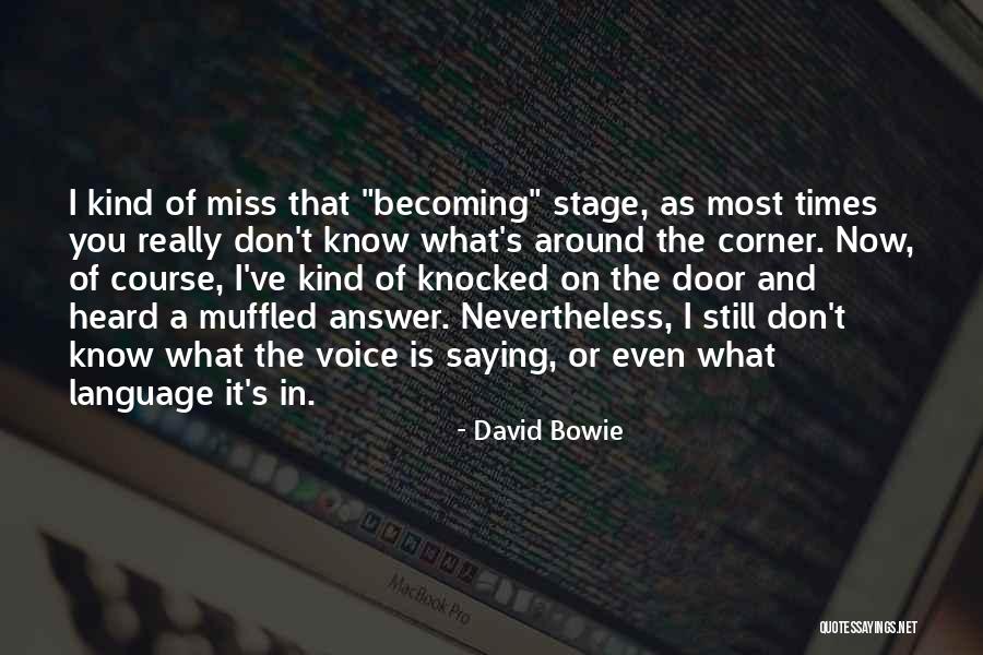 Llama Movie Quotes By David Bowie Llama Movie Quotes By David Bowie