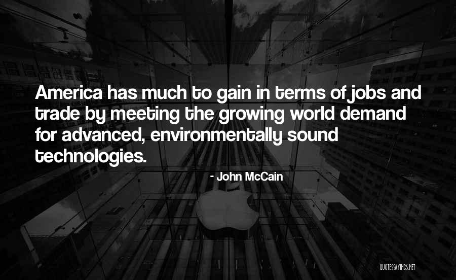 Llamando Al Quotes By John McCain Llamando Al Quotes By John McCain