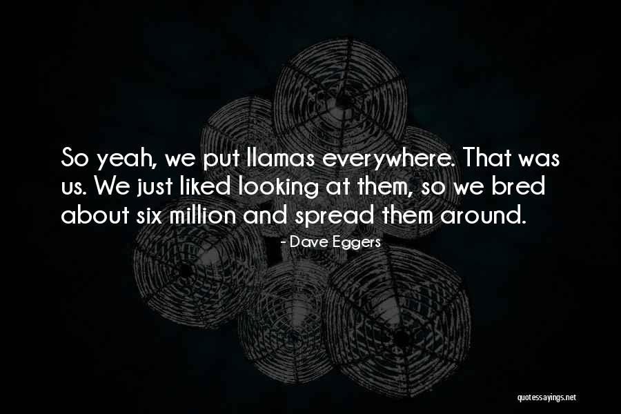 Llamas Quotes By Dave Eggers Llamas Quotes By Dave Eggers
