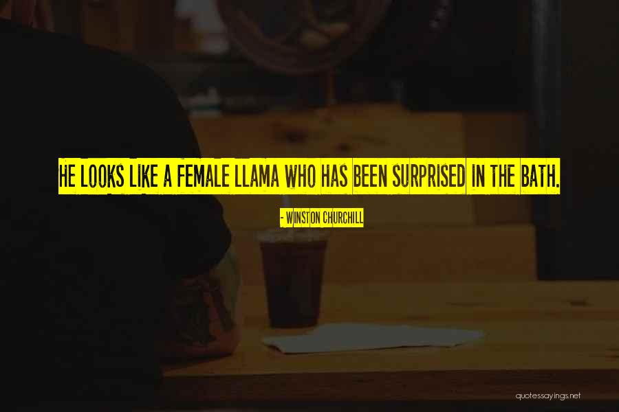 Llamas Quotes By Winston Churchill Llamas Quotes By Winston Churchill