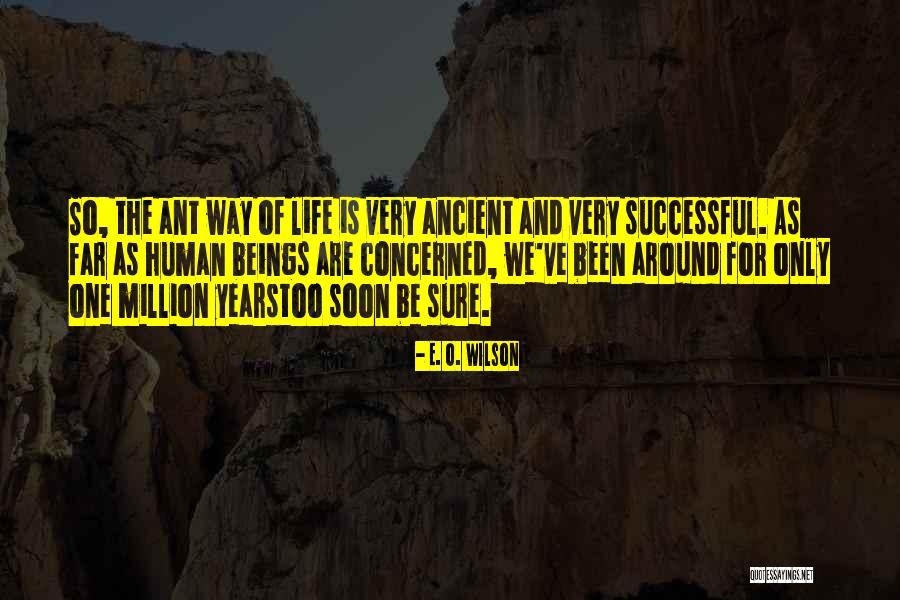 Llambias Tschetter Quotes By E. O. Wilson Llambias Tschetter Quotes By E. O. Wilson