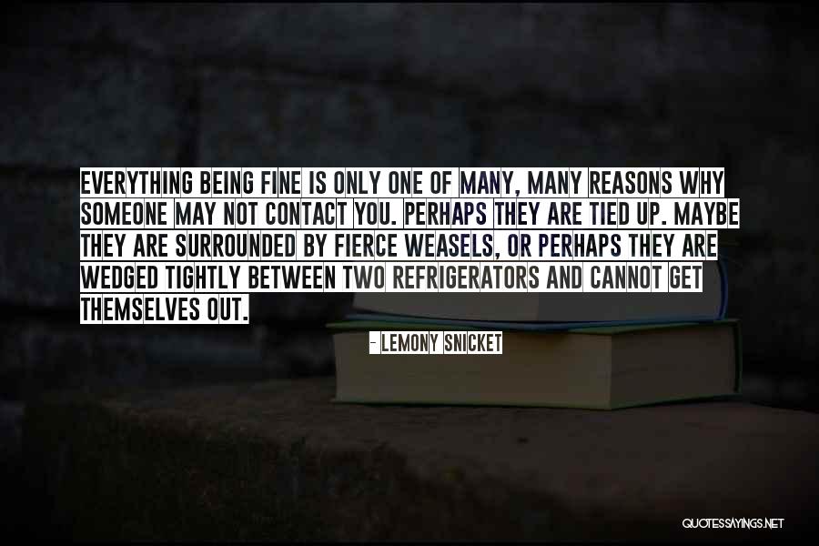Llanuras Quotes By Lemony Snicket Llanuras Quotes By Lemony Snicket